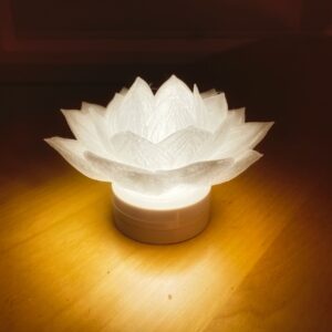 Day of mindfulness